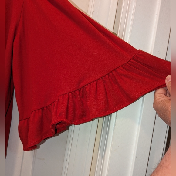 Anthropologie Red Blouse - Picture 5 of 5